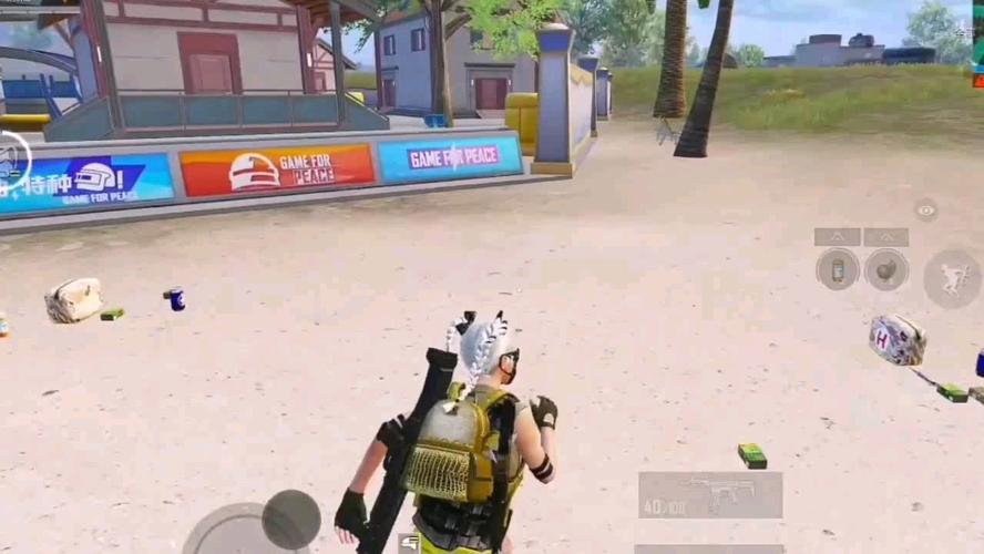 和平精英辅助【神女】